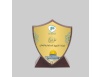 Brown plate