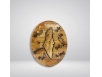 Olive wood panel