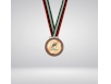 Large bronze medal