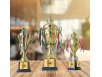 Sport cups