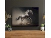 Canvas frame