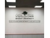 Acrylic logo and letters