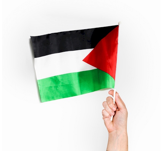 علم مع عصاة