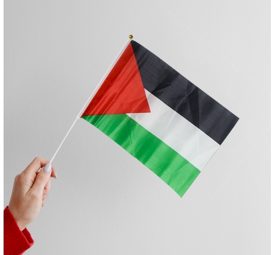 علم مع عصاة