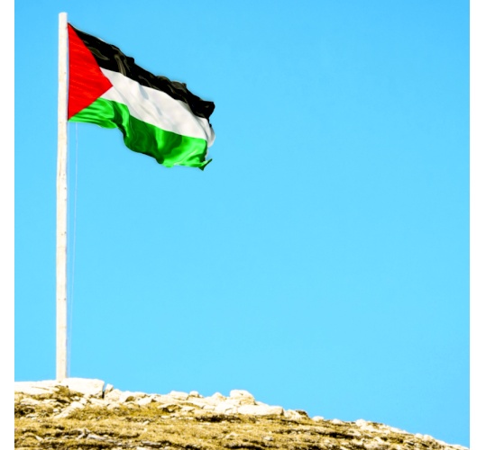 سارية علم خارجي