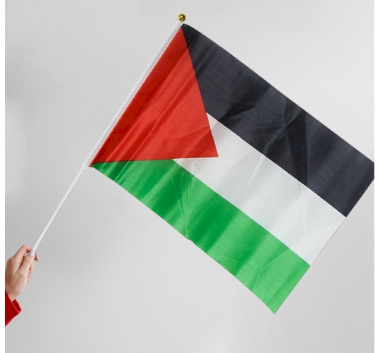 علم مع عصاة