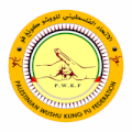 الاتحاد الفلسطيني للووشو كونغ فو