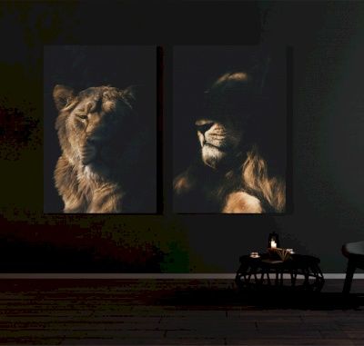 Canvas frame