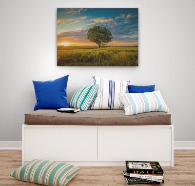 Canvas frame