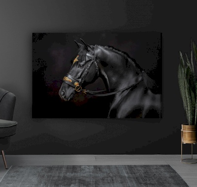 Canvas frame