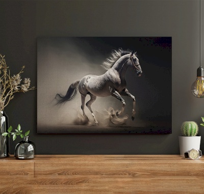 Canvas frame